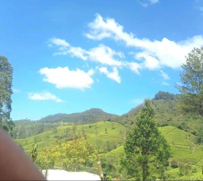 Nuwaraeliya Penthouse Apartment With Pool & Panaromic Views 누와라 엘리야 외부 사진